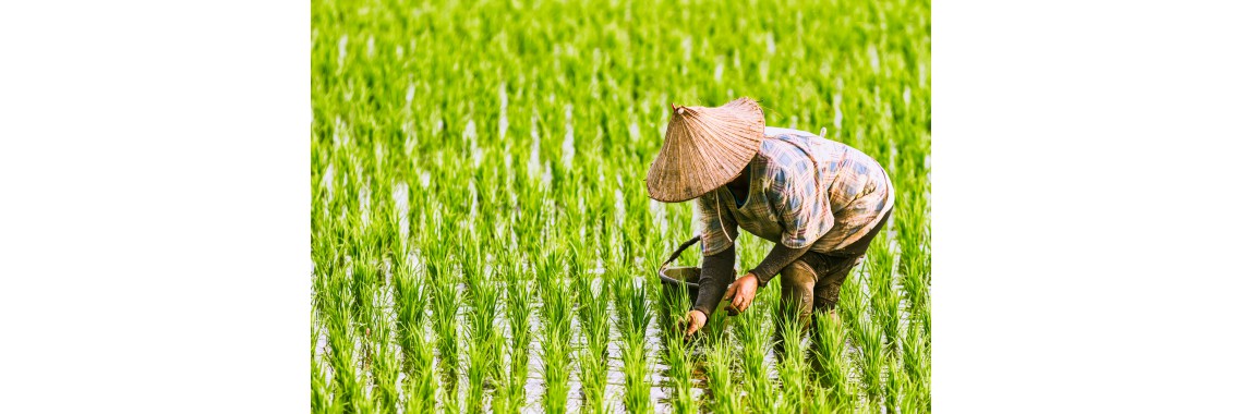 farmer